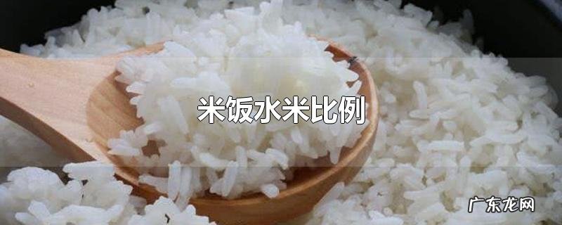 米饭水米比例