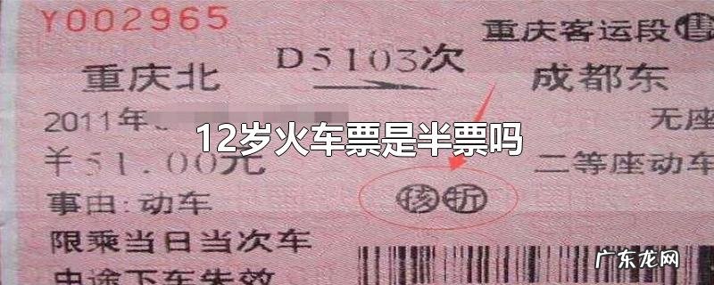 12岁火车票是半票吗