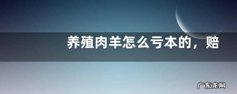养殖肉羊怎么亏本的,赔钱的原因