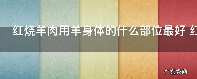 红烧羊肉用羊身体的什么部位最好 红烧羊肉用羊身体的哪些部位好