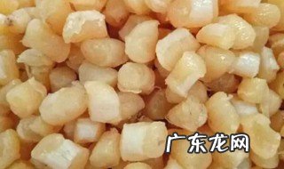 干贝是什么 关于干贝的介绍