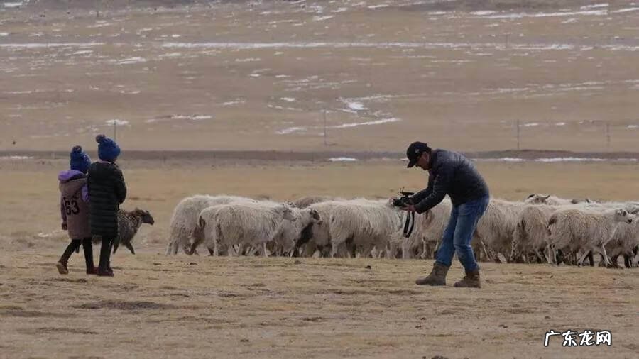 东南西北风水 左四右九风水