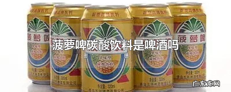 菠萝啤碳酸饮料是啤酒吗