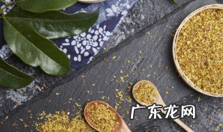 桂花叶子干枯发黄怎么办 桂花叶子干枯发黄怎么处理