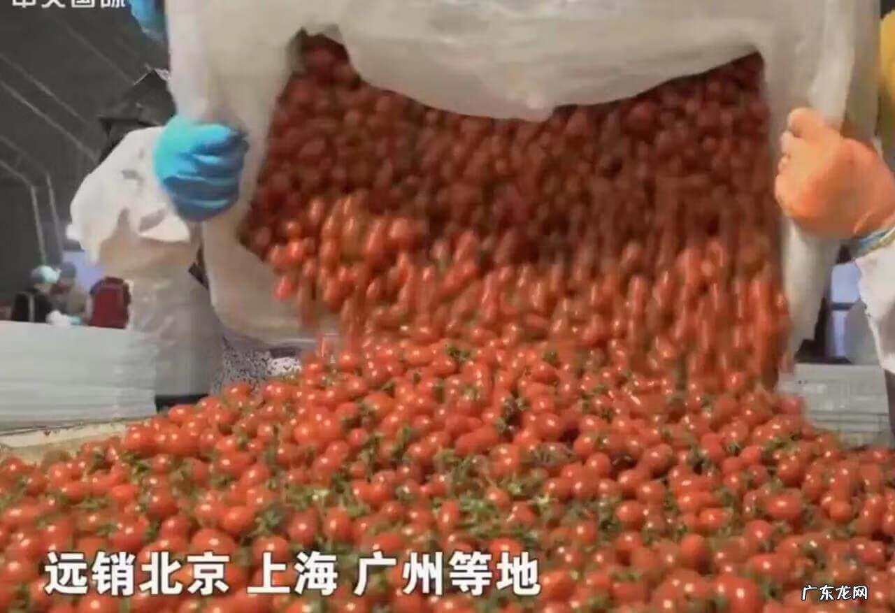 大家相信风水轮流转吗 我始终相信风水轮流转