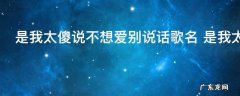 是我太傻说不想爱别说话歌名 是我太傻说不想爱别说话歌名是什么