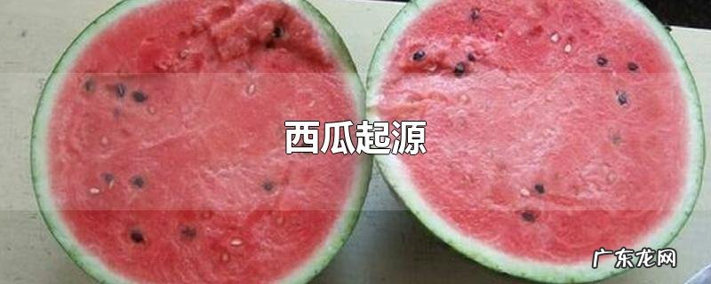西瓜起源