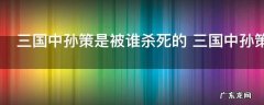 三国中孙策是被谁杀死的 三国中孙策死因介绍