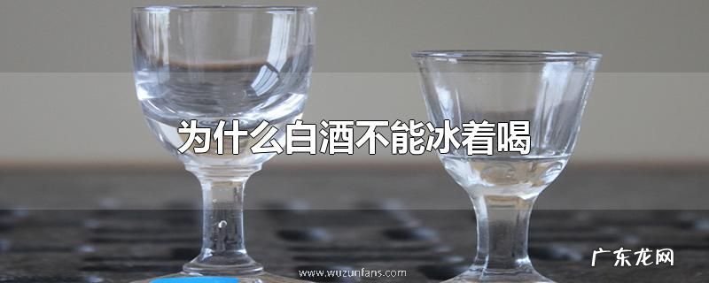 为什么白酒不能冰着喝