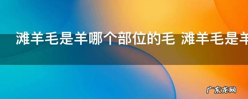 滩羊毛是羊哪个部位的毛 滩羊毛是羊什么部位的毛