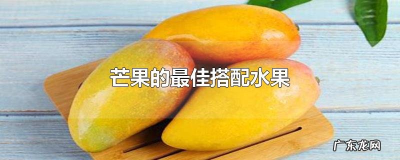 芒果的最佳搭配水果