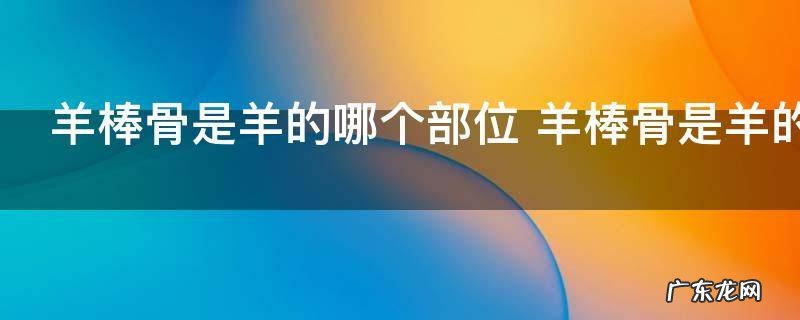 羊棒骨是羊的哪个部位 羊棒骨是羊的什么部位