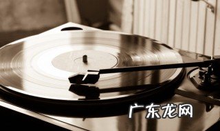 我不懂爱是什么歌词 我不懂爱出处