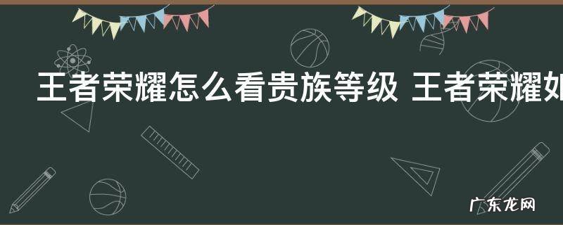 王者荣耀怎么看贵族等级 王者荣耀如何看贵族等级