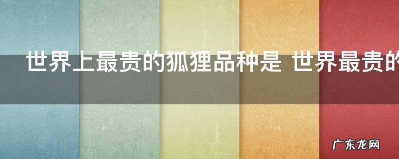 世界上最贵的狐狸品种是 世界最贵的狐狸有什么特征