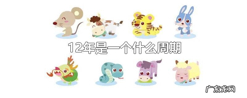 12年是一个什么周期