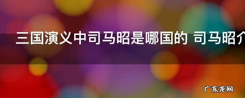 三国演义中司马昭是哪国的 司马昭介绍