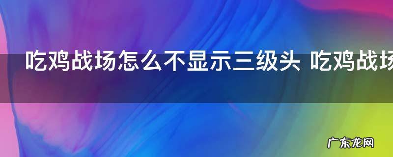 吃鸡战场怎么不显示三级头 吃鸡战场为什么不显示三级头