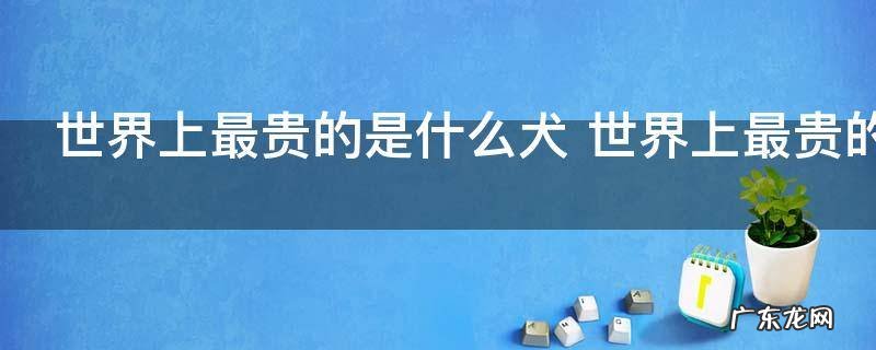 世界上最贵的是什么犬 世界上最贵的犬叫什么