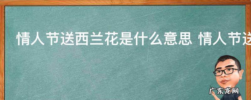 情人节送西兰花是什么意思 情人节送西兰花的含义