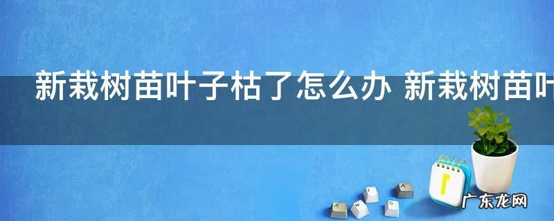 新栽树苗叶子枯了怎么办 新栽树苗叶子枯了的解决方法