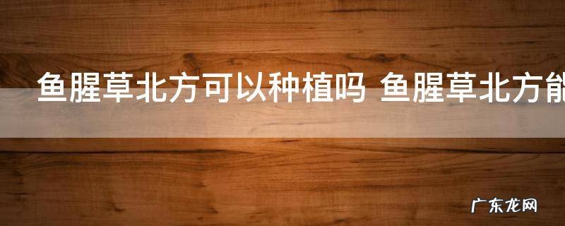 鱼腥草北方可以种植吗 鱼腥草北方能种植吗