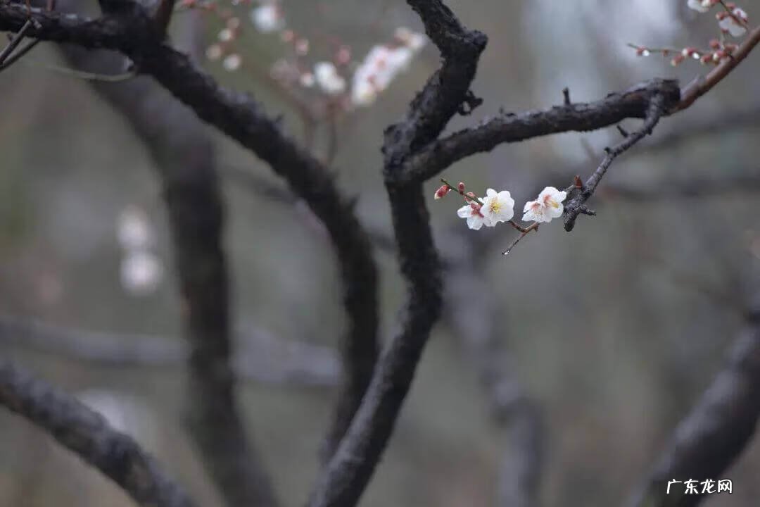 奉贤区最好的医院 奉贤区风水好祈福位在哪里