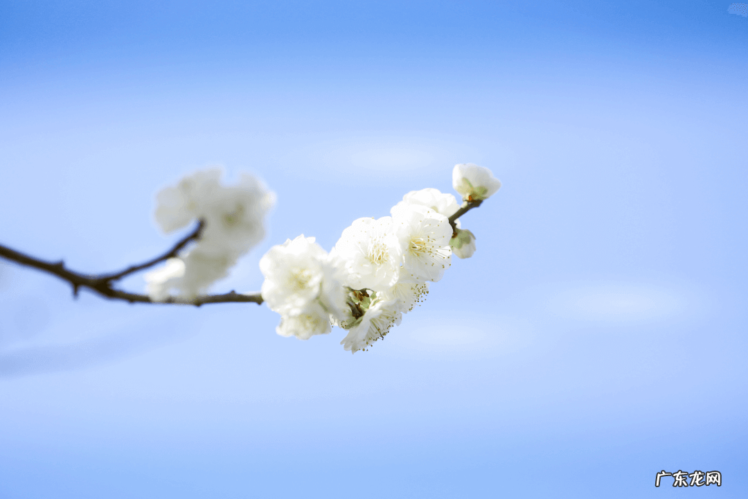 奉贤区最好的医院 奉贤区风水好祈福位在哪里
