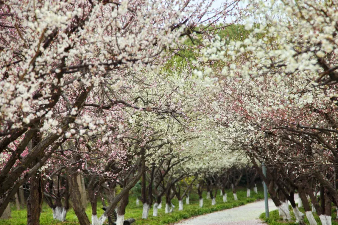 奉贤区最好的医院 奉贤区风水好祈福位在哪里