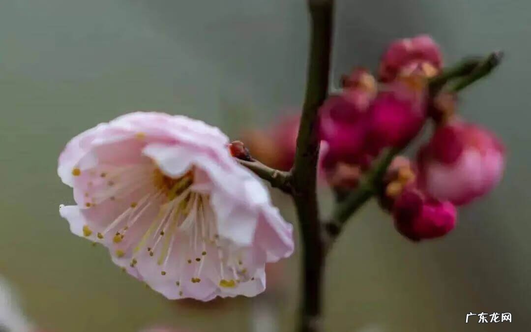 奉贤区最好的医院 奉贤区风水好祈福位在哪里