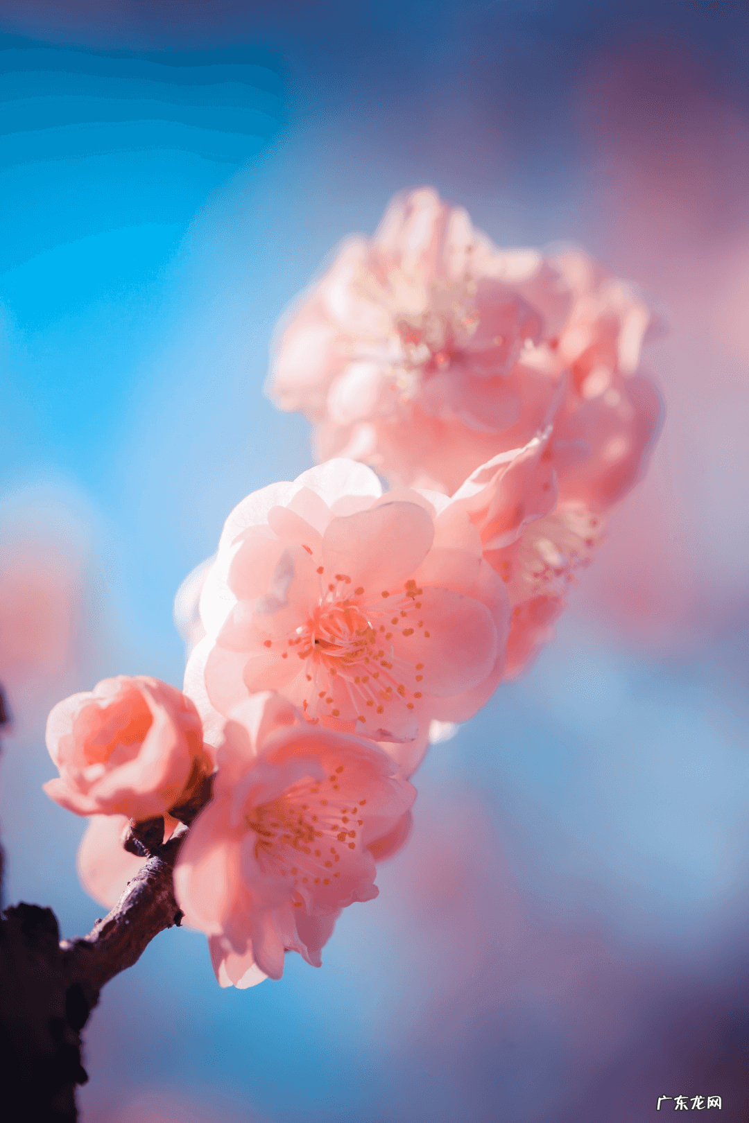 奉贤区最好的医院 奉贤区风水好祈福位在哪里