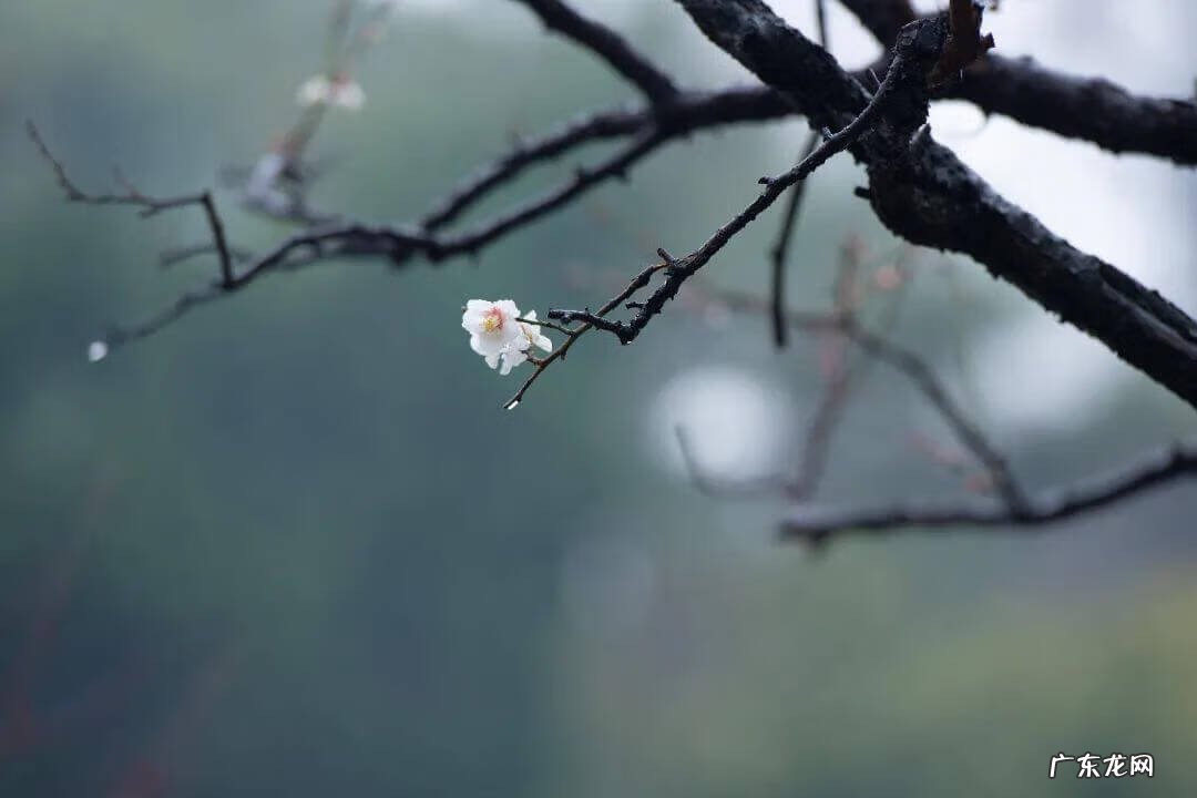 奉贤区最好的医院 奉贤区风水好祈福位在哪里