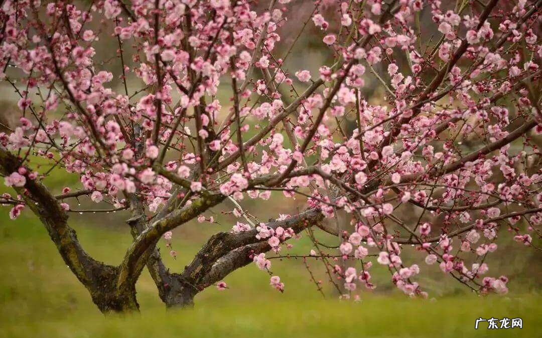 奉贤区最好的医院 奉贤区风水好祈福位在哪里
