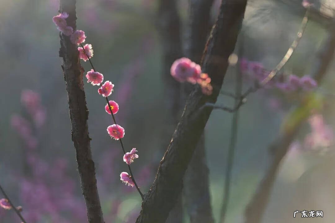 奉贤区最好的医院 奉贤区风水好祈福位在哪里
