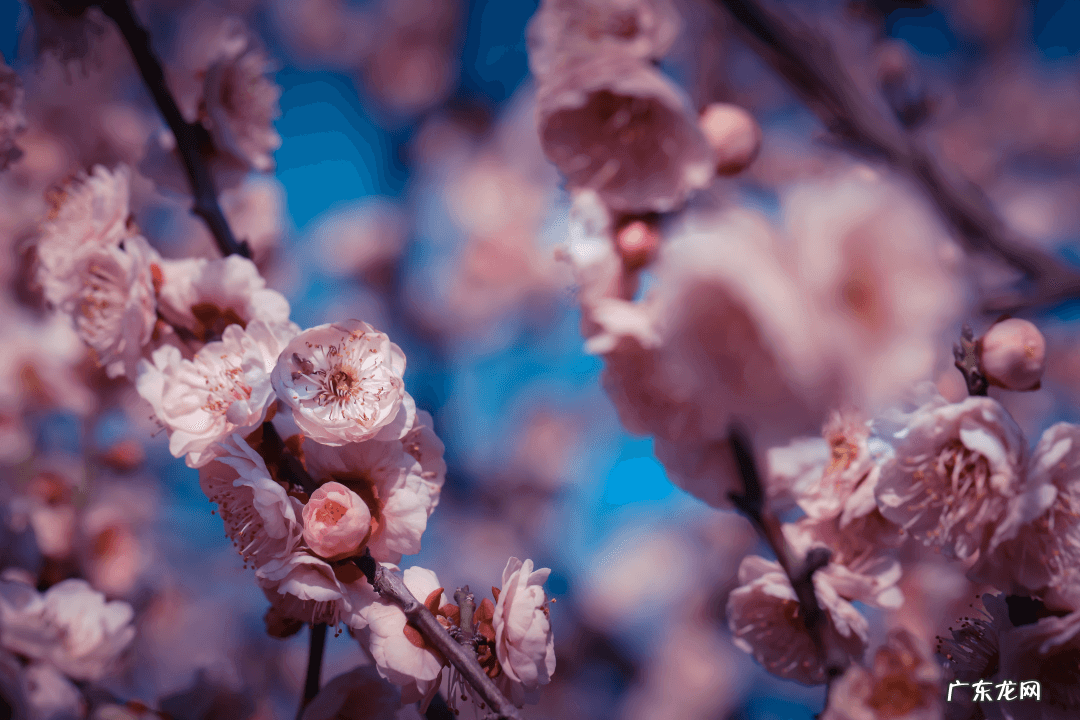 奉贤区最好的医院 奉贤区风水好祈福位在哪里
