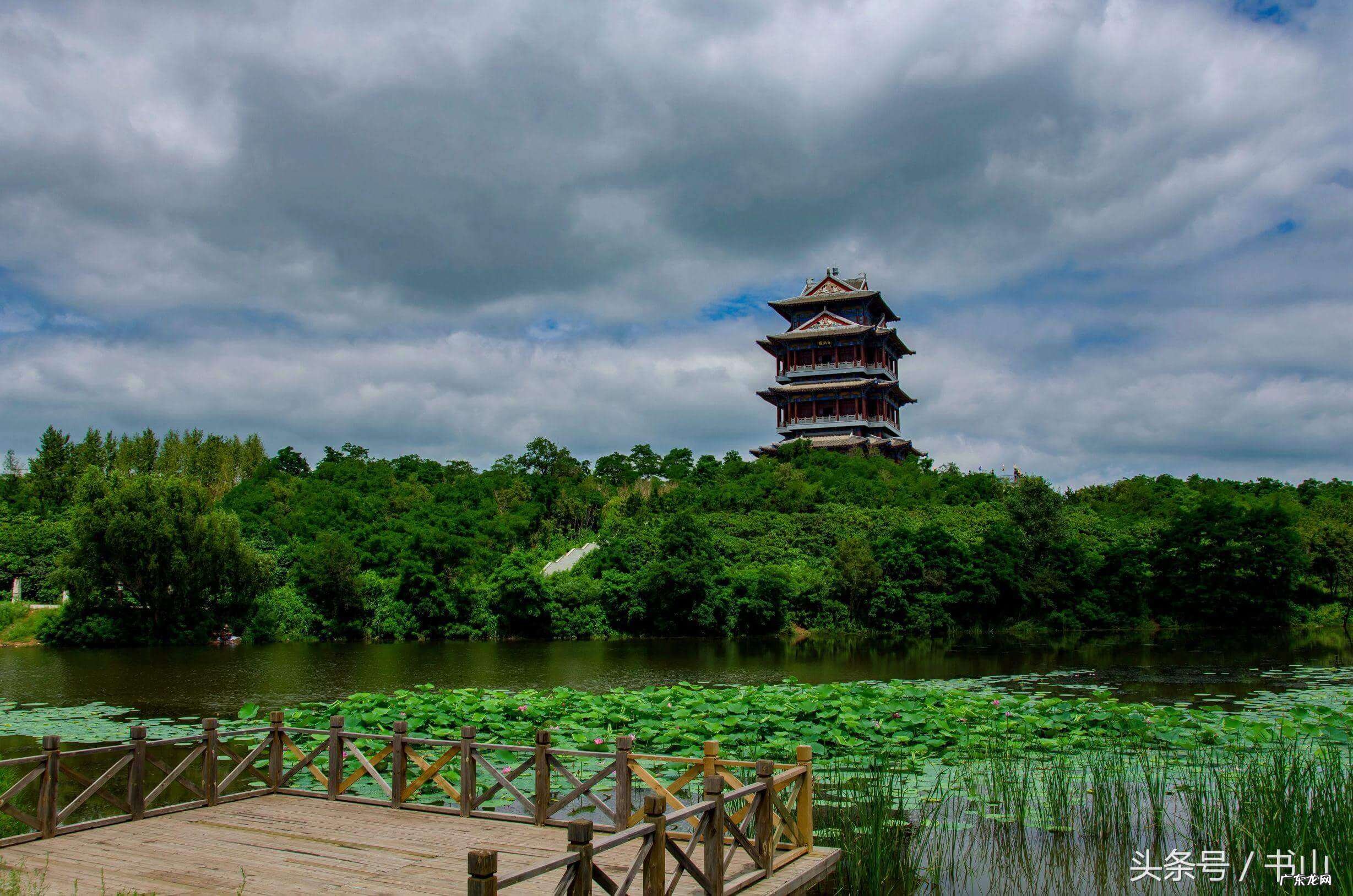 看到白鹤的兆头 风水宝地之白鹤地