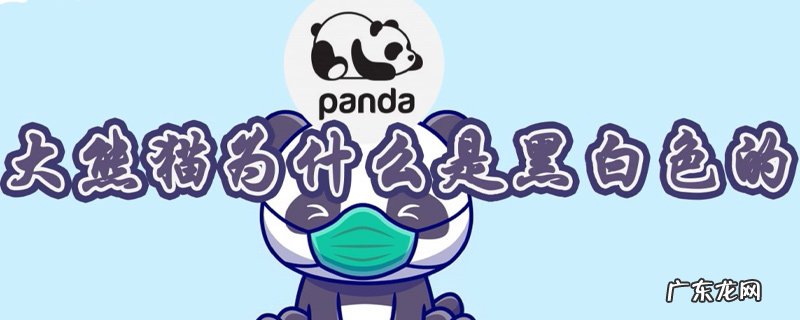 大熊猫为什么是黑白色的