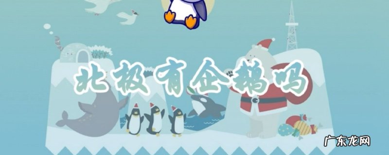 北极有企鹅吗