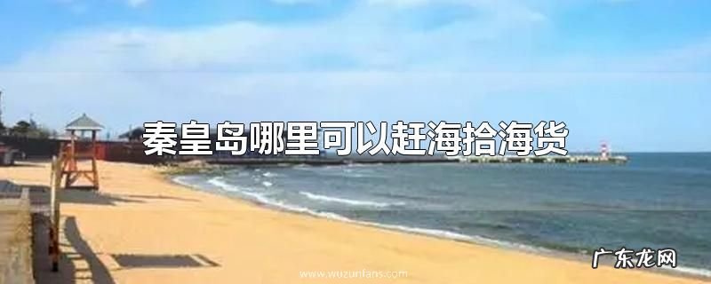 秦皇岛哪里可以赶海拾海货