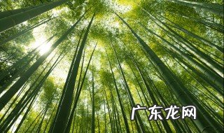 楠竹鞋柜发霉如何处理 楠竹鞋柜发霉怎样处理