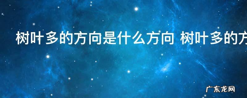 树叶多的方向是什么方向 树叶多的方向是南方向对吗