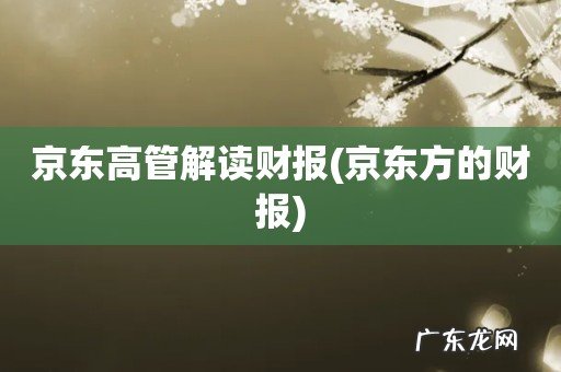 京东方的财报 京东高管解读财报