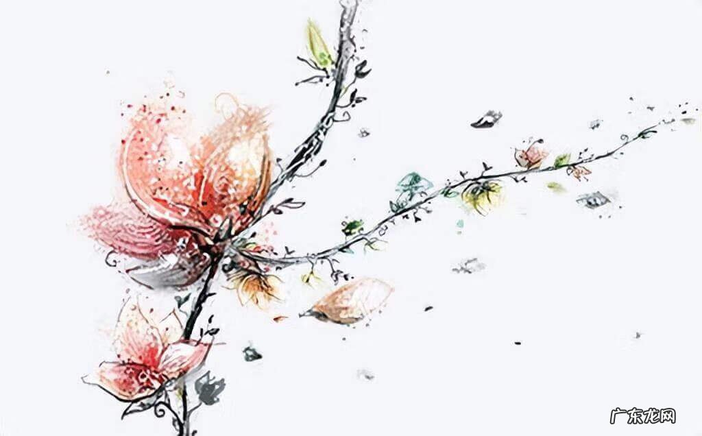 今日穿衣风水12月23 2022年5月11日穿衣风水