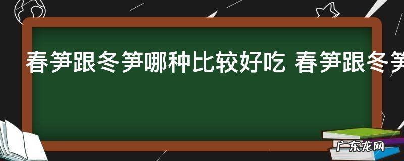 春笋跟冬笋哪种比较好吃 春笋跟冬笋哪种比较好吃呢