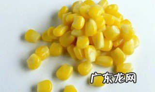 干玉米粒要煮多久才熟 干玉米粒要煮多长时间才熟