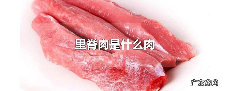里脊肉是什么肉