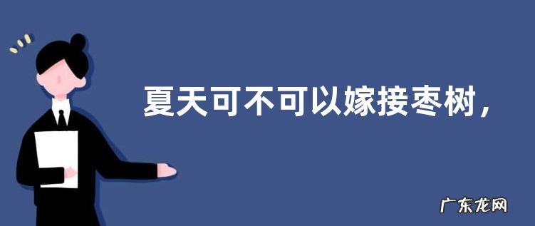 夏天可不可以嫁接枣树,附枣树嫁接方法