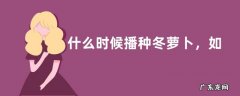 什么时候播种冬萝卜，如何种植冬萝卜