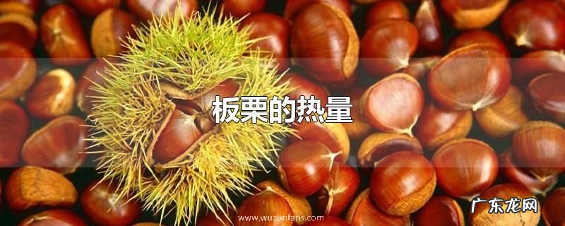 板栗的热量
