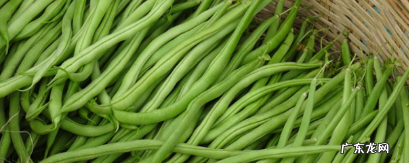 无筋豆应该怎么种植,需做好以下几点